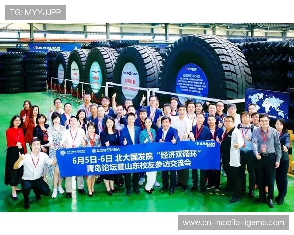 上海攀岩队比赛经验分析与表现评估的深度研究与探讨