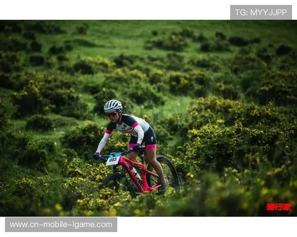张秀英的网球人生：从青涩少女到赛场传奇的深度对话与反思